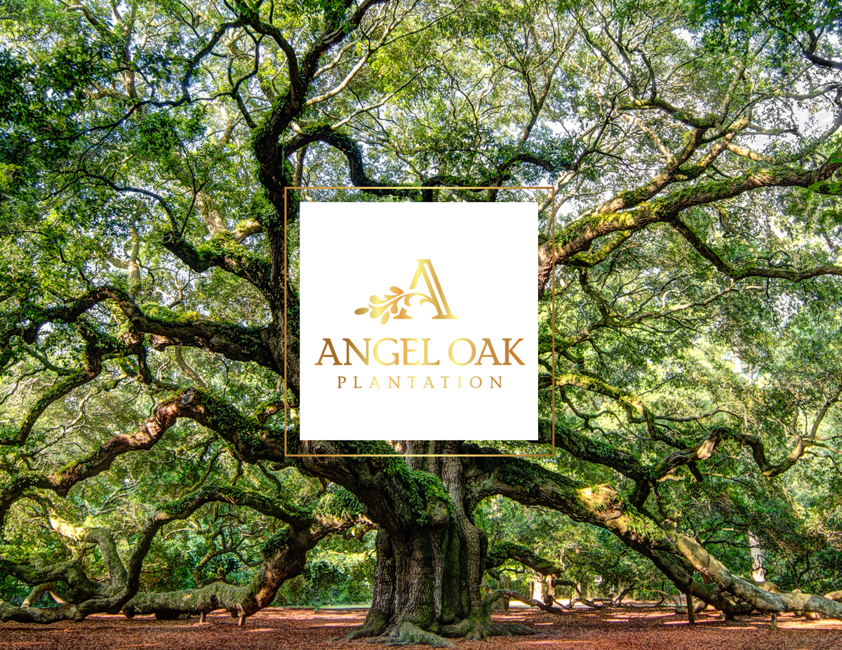 Design de Brochure par Victor_pro pour ce projet | Design #11077397