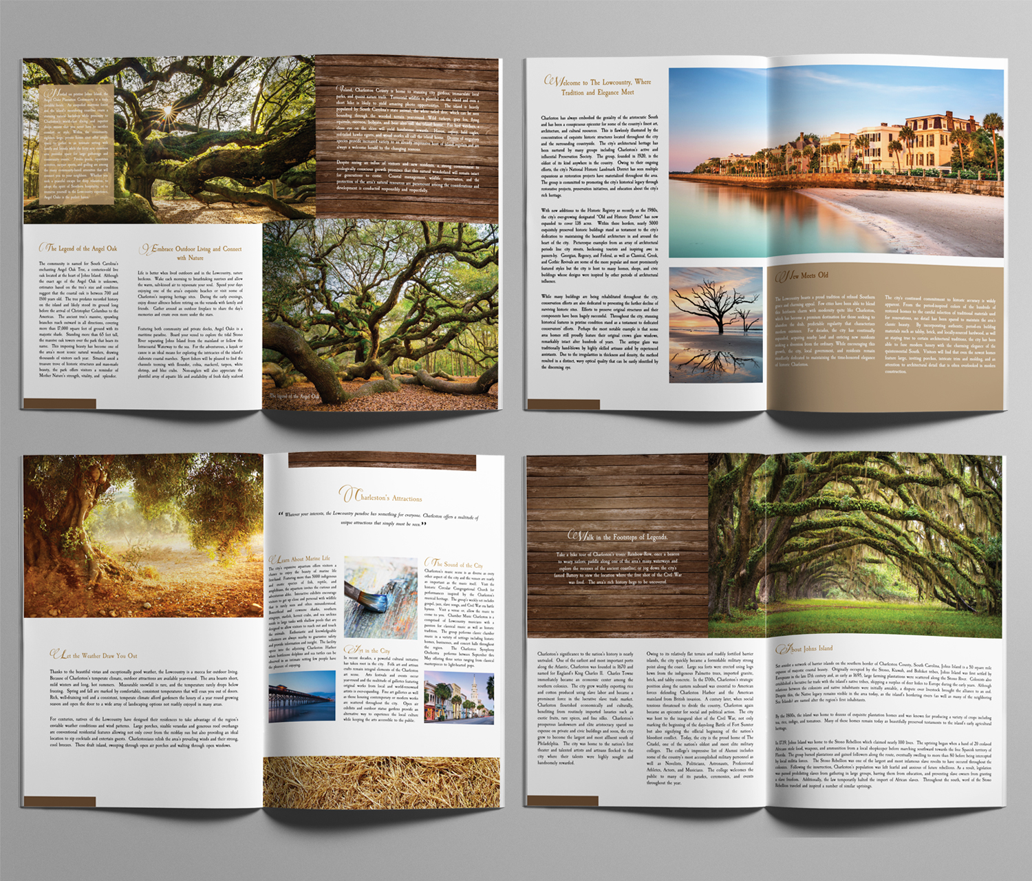 Design de Brochure par SY pour ce projet | Design #11051660