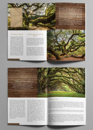 Design de Brochure par SY pour ce projet | Design : #11051664