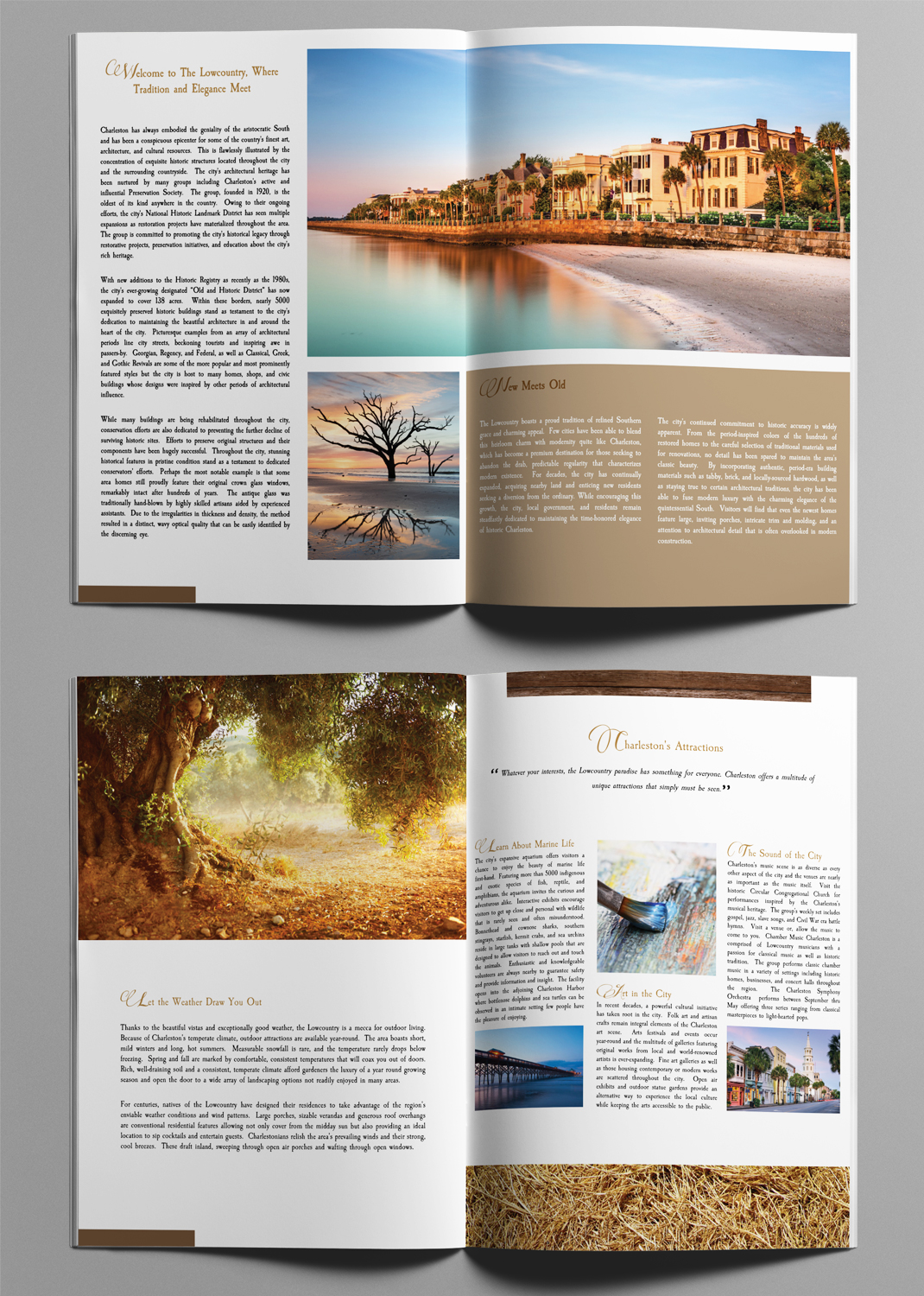 Brochure Design by SY for this project | Design #11051665
