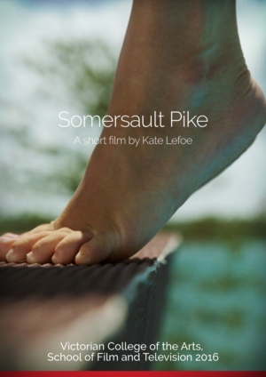 Flyer Design by HMTahir for this project | Design: #11050313