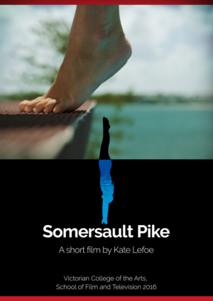 Flyer Design by HMTahir for this project | Design: #11051588