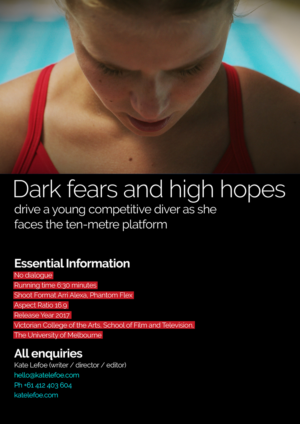 Flyer Design by HMTahir for this project | Design: #11081823