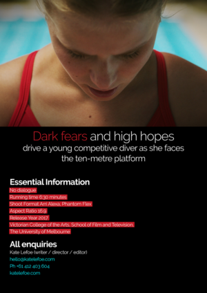 Flyer Design by HMTahir for this project | Design: #11088700