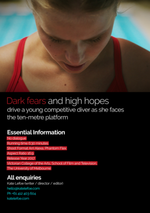 Flyer Design by HMTahir for this project | Design: #11088701