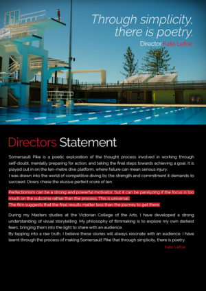 Flyer Design by HMTahir for this project | Design: #11088703