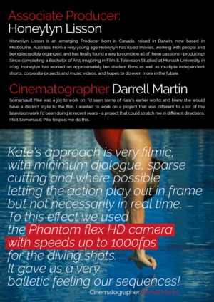 Flyer Design by HMTahir for this project | Design: #11089528