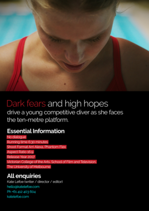 Flyer Design by HMTahir for this project | Design: #11097975