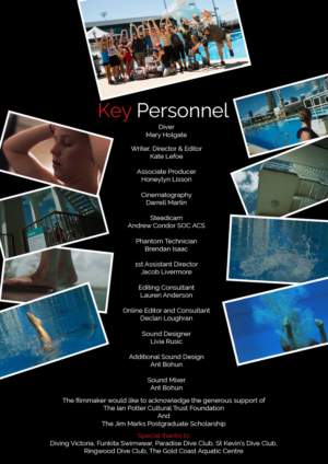 Flyer Design by HMTahir for this project | Design: #11101193