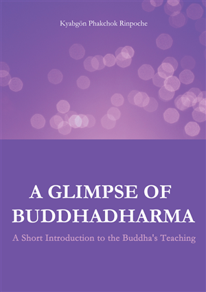 Book Cover Design by nemorosa for this project | Design: #2294552