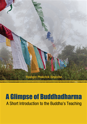 Book Cover Design by nemorosa for this project | Design: #2294567