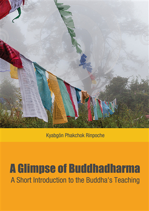 Book Cover Design by nemorosa for this project | Design: #2294575