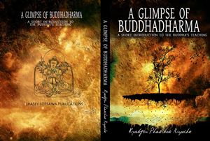 A modern, fresh introduction to Buddhism | Book Cover Design by jshan