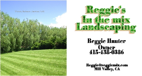 Diseño de Tarjeta de Presentación por victoria para este proyecto | Diseño #473850