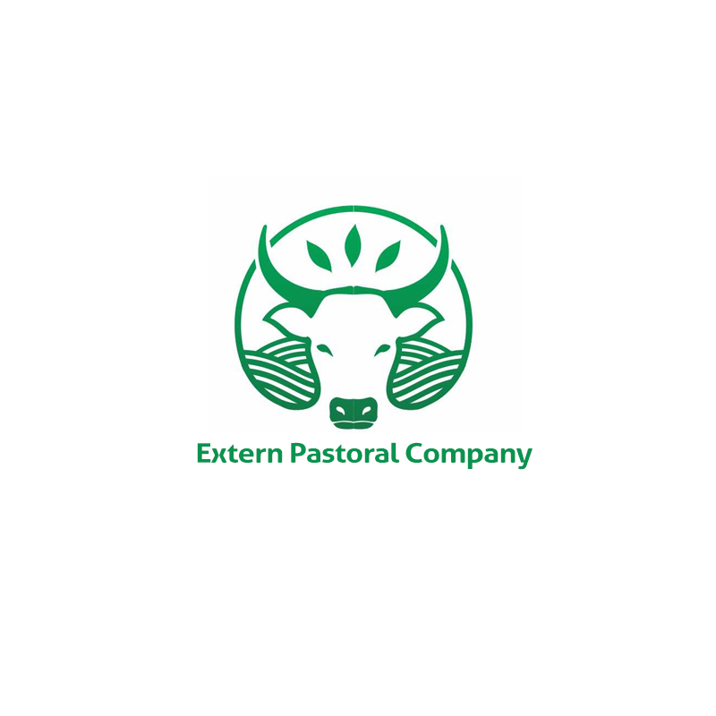 Diseño de Logo por MJ art para este proyecto | Diseño #11075231