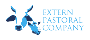Logo Design by Shiraki Meiko