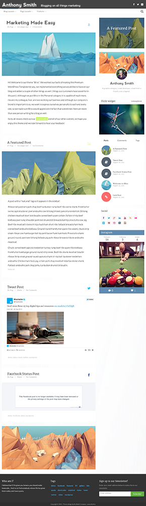Web Design by NessDesign