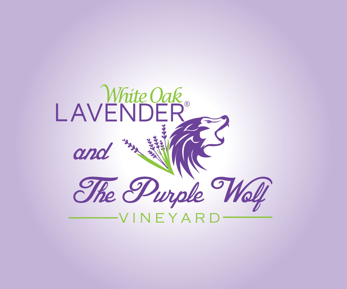Logo Design by Aeidan for White Oak Lavender/ My Lavender Lifestyle | Design #11074912