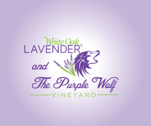 Logo Design by Aeidan for White Oak Lavender/ My Lavender Lifestyle | Design: #11074912
