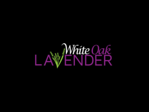Logo Design by Nazir