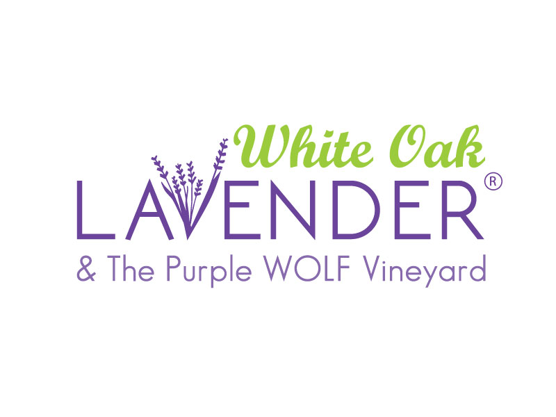 Logo Design by Mehedi Hasan ™ for White Oak Lavender/ My Lavender Lifestyle | Design #11074605