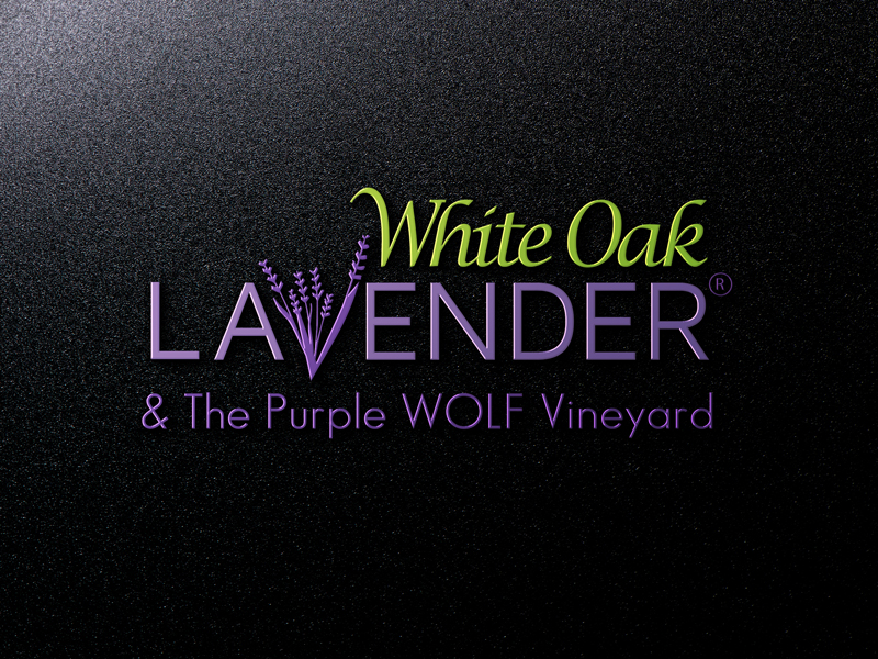 Logo Design by Mehedi Hasan ™ for White Oak Lavender/ My Lavender Lifestyle | Design #11074615