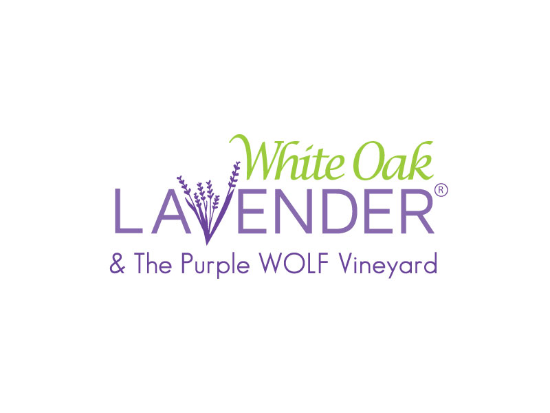 Logo Design by Mehedi Hasan ™ for White Oak Lavender/ My Lavender Lifestyle | Design #11095665