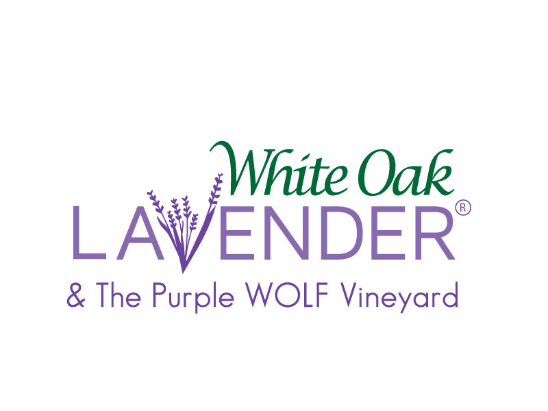 Logo Design by Mehedi Hasan ™ for White Oak Lavender/ My Lavender Lifestyle | Design #11110513