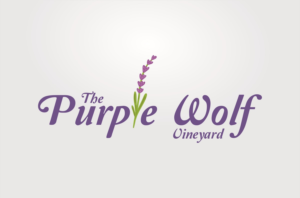 Logo Design by Zulsani