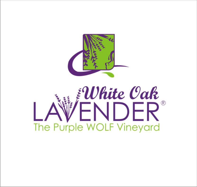 Diseño de Logo por kadaldesain para White Oak Lavender/ My Lavender Lifestyle | Diseño #11072470