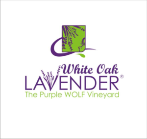 Logo Design by kadaldesain