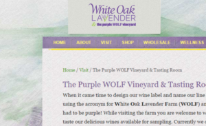 Logo Design by Pilar Castro for White Oak Lavender/ My Lavender Lifestyle | Design: #11079359