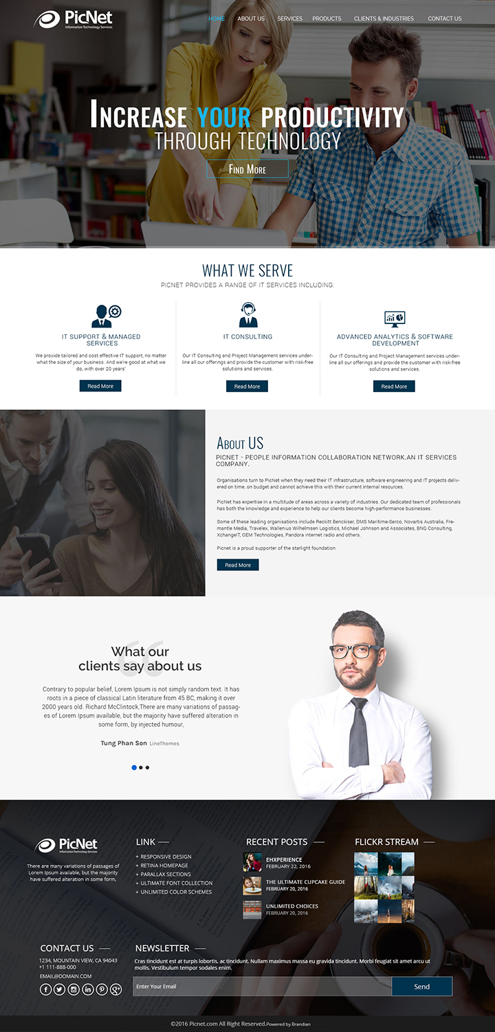Web Design par Logo Xtudio pour PicNet Pty Ltd | Design #11132994