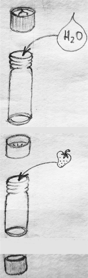 Illustration Design by Stefanie Duch for Define Bottle | Design #2305114