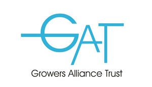 Logo Design by chandika