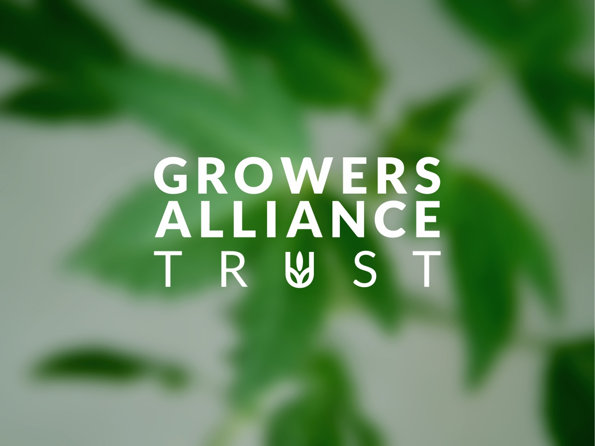 Logo Design by iGyal for this project | Design #2306359