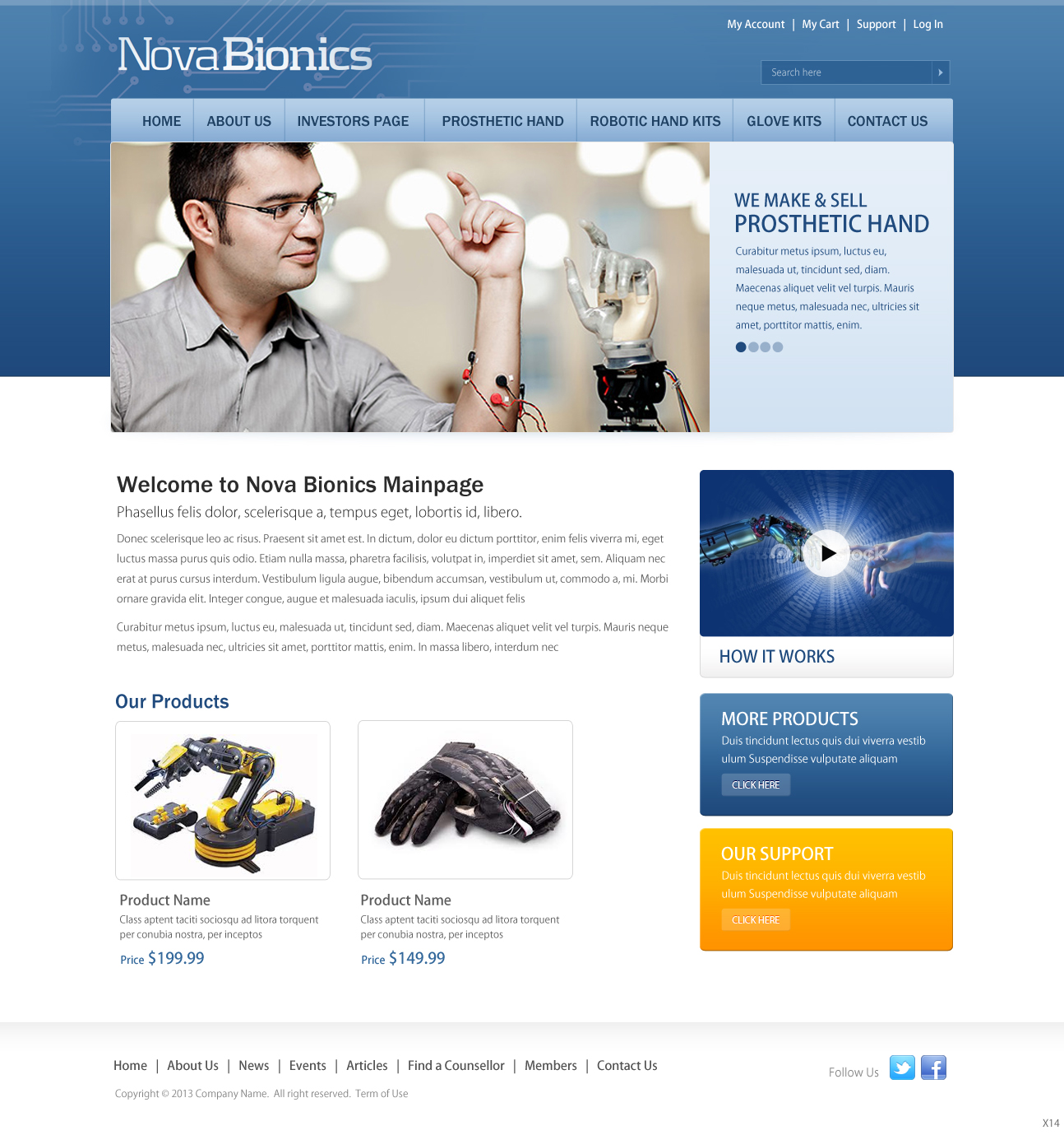 Wordpress Design by pb for Novabionics Inc | Design #2291922