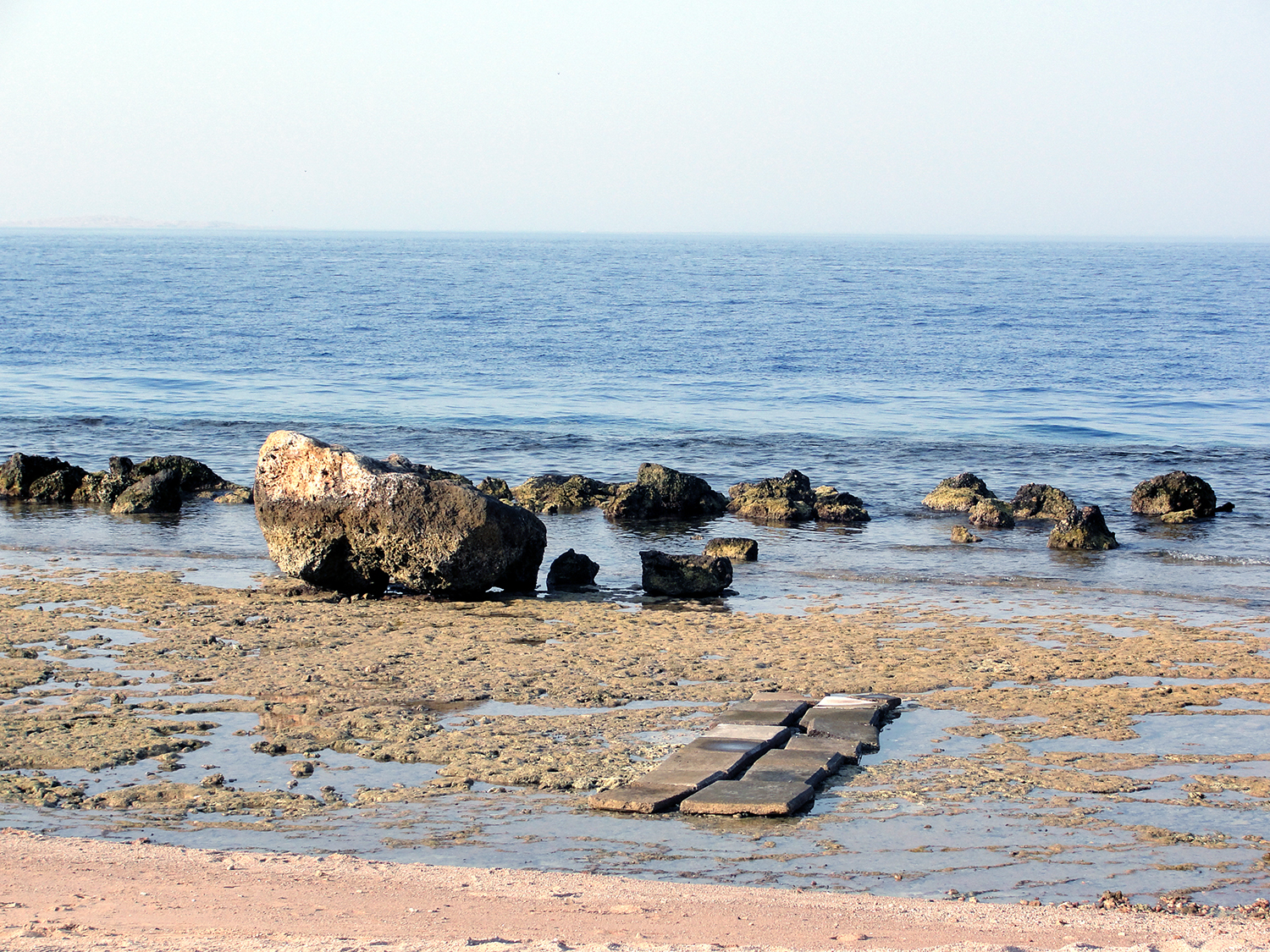 Photography by Nino Qasoshvili for DesignCrowd (Community Contests) | Design #11129983