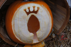 Photography by JadeRaven21