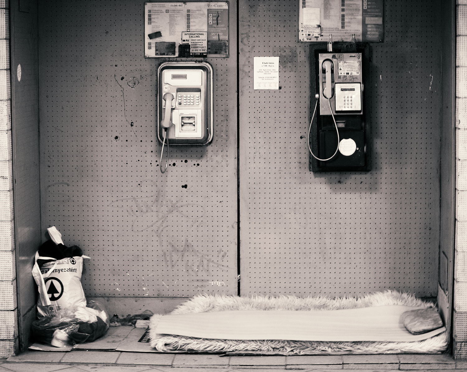 Photography by Endre Koliger for DesignCrowd (Community Contests) | Design #11115601