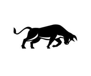 Logo Design by patrimonio