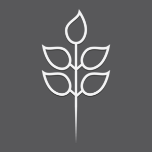 Logo Design by Adam360