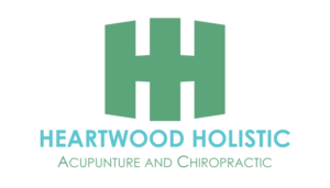 Logo Design by Alireza Mirzaei