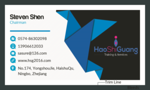 Business Card Design by sanandreas500 for Ningbo Good Time Housekeeping Training School | Design: #11130214