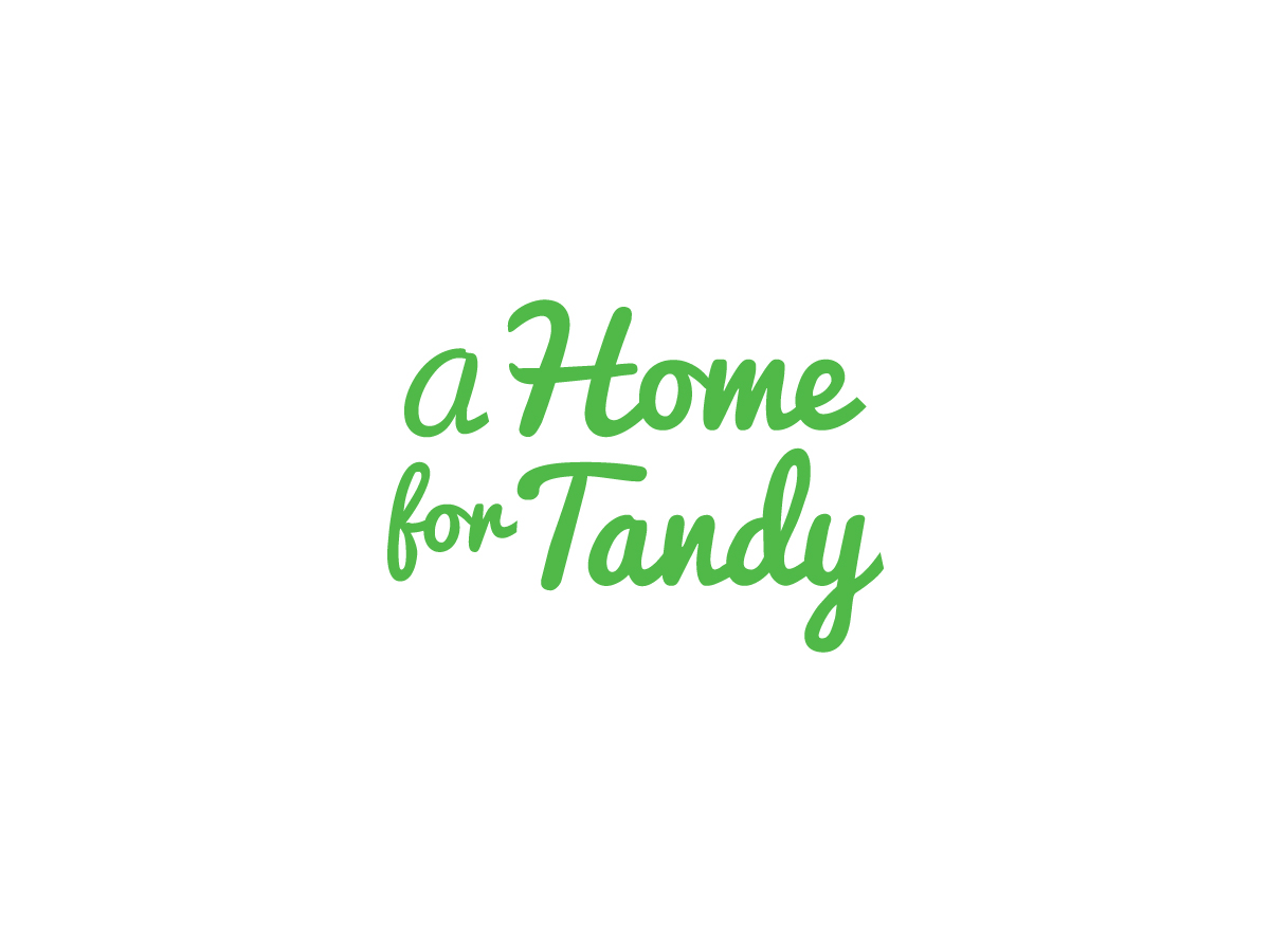 Logo-Design von JGC für A Home For Tandy | Design #2379753