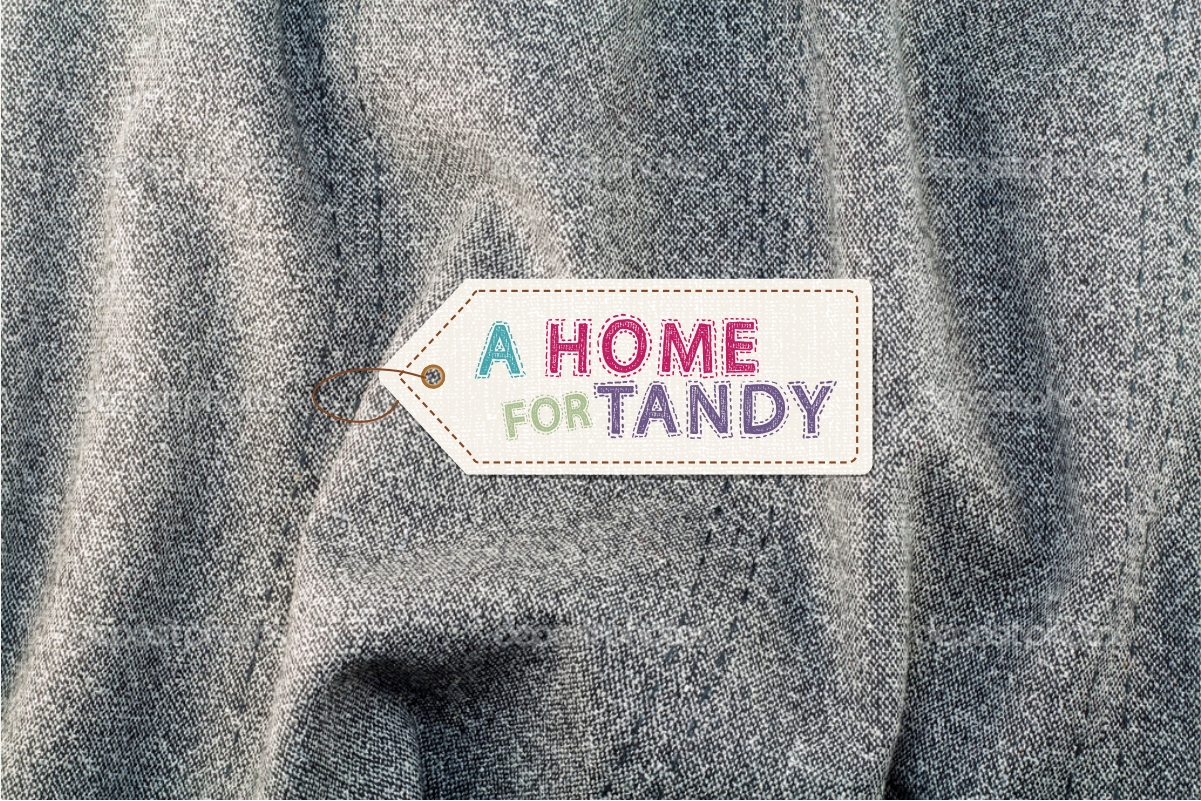 Design de Logo par Tantra Art pour A Home For Tandy | Design #2402016
