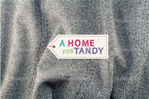 Design de Logo par Tantra Art pour A Home For Tandy | Design : #2402016