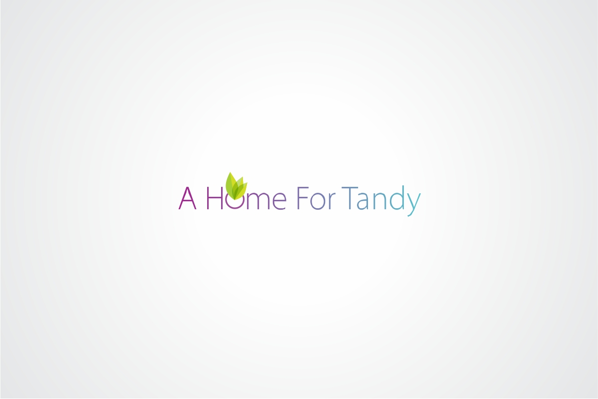 Logo Design by Tantra Art for A Home For Tandy | Design #2402018
