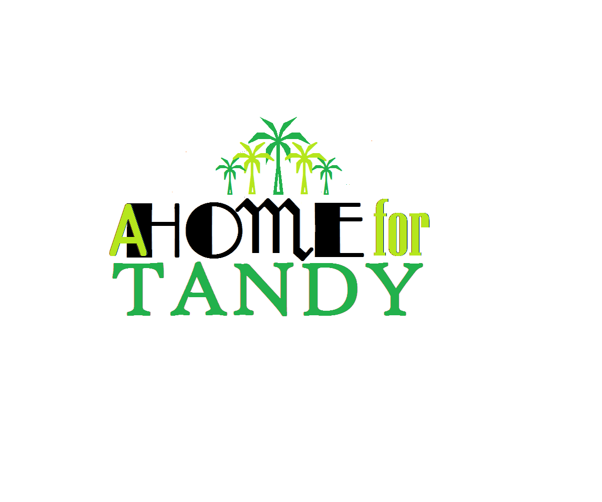 Design de Logo par Hanelie pour A Home For Tandy | Design #2364306