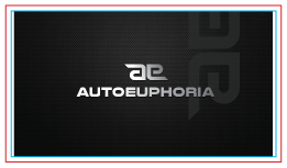 Business Card Design by Sunny for Euphoria Auto Works LLC | Design #11094376